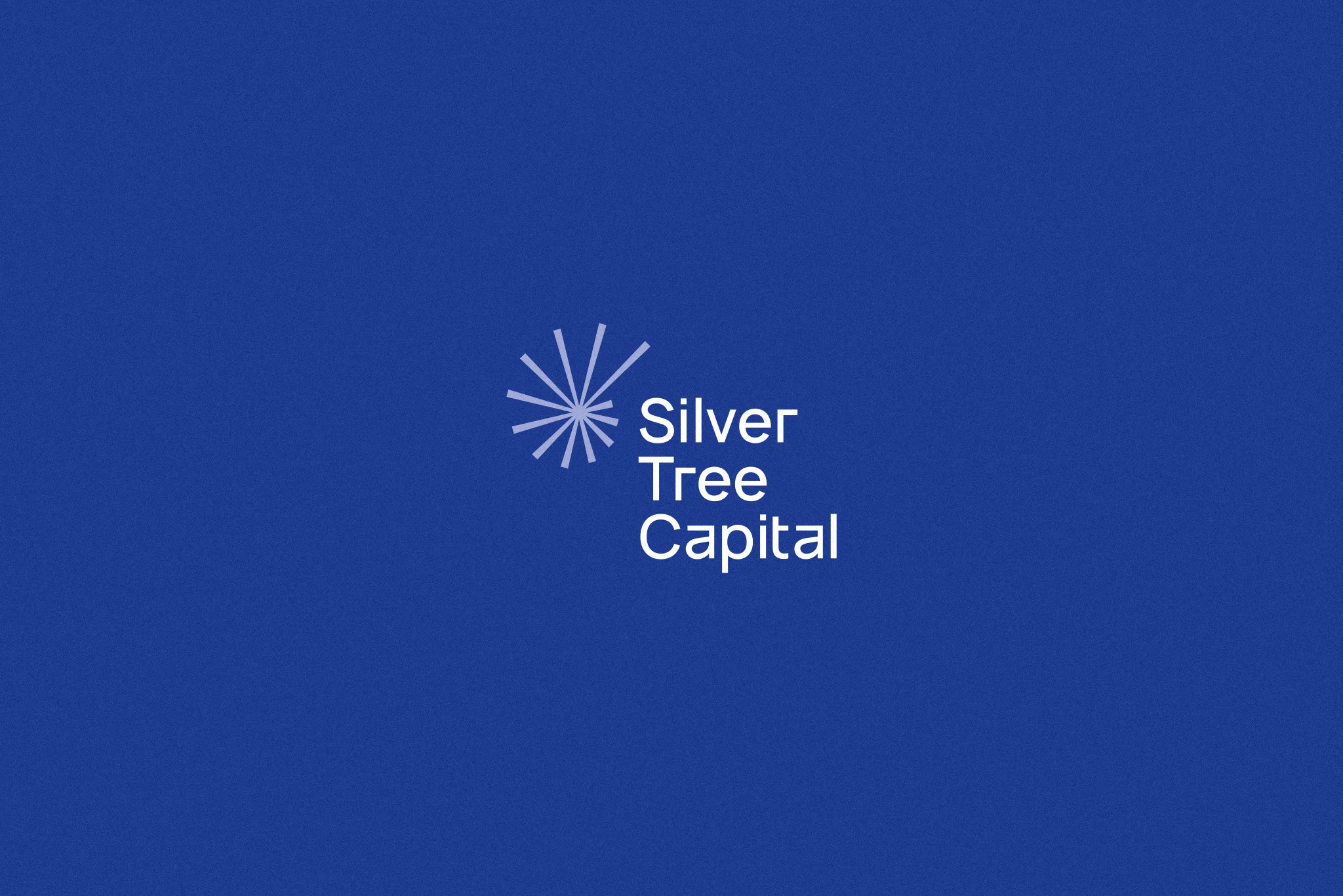 Graphic design project: Silver Tree Capital logo design and brand identity